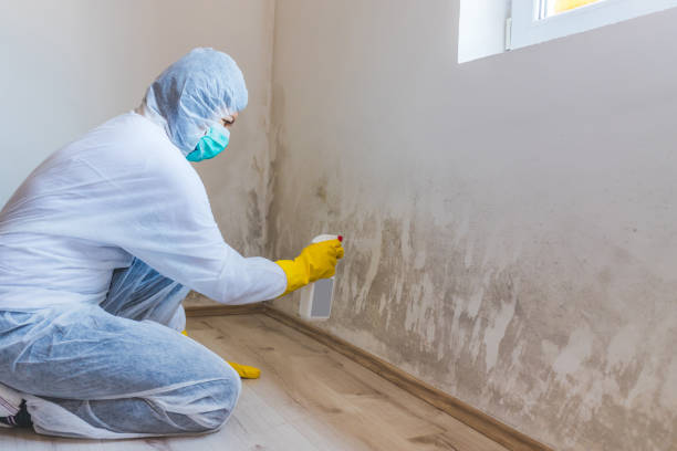 Licensed Black Mold Remediation service in Lawrenceville, GA - 24 Hour Mold Removal