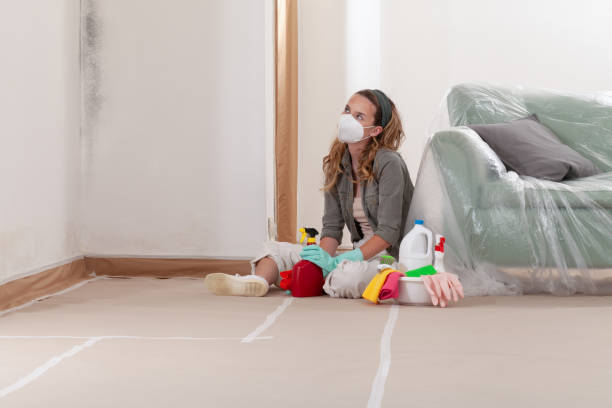 Reliable Black Mold Remediation contractor in Lawrenceville, GA by 24 Hour Mold Removal